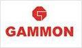 gammon